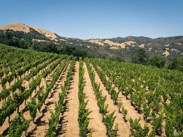 $4,490,000 | 316 Wall Road, Napa, CA 94558