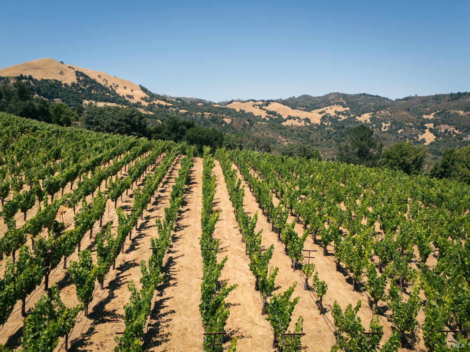 316 Wall Road Napa, CA 94558 - Photo 3 of 6