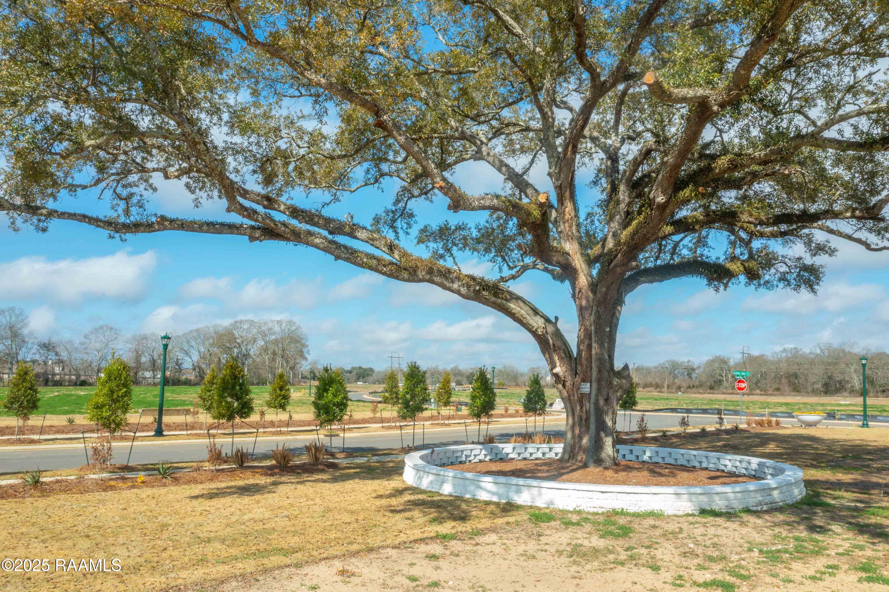 108 Castle Row Lafayette, LA 70506 - Photo 8 of 11 SonomaGarden