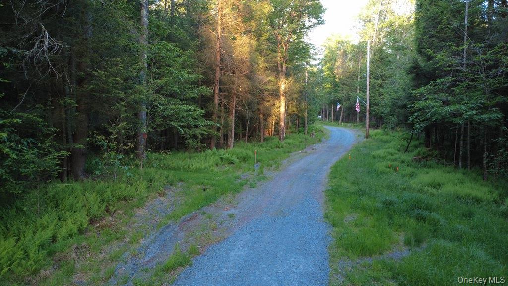 52 Log Road Parksville, NY 12768 - Photo 23 of 31