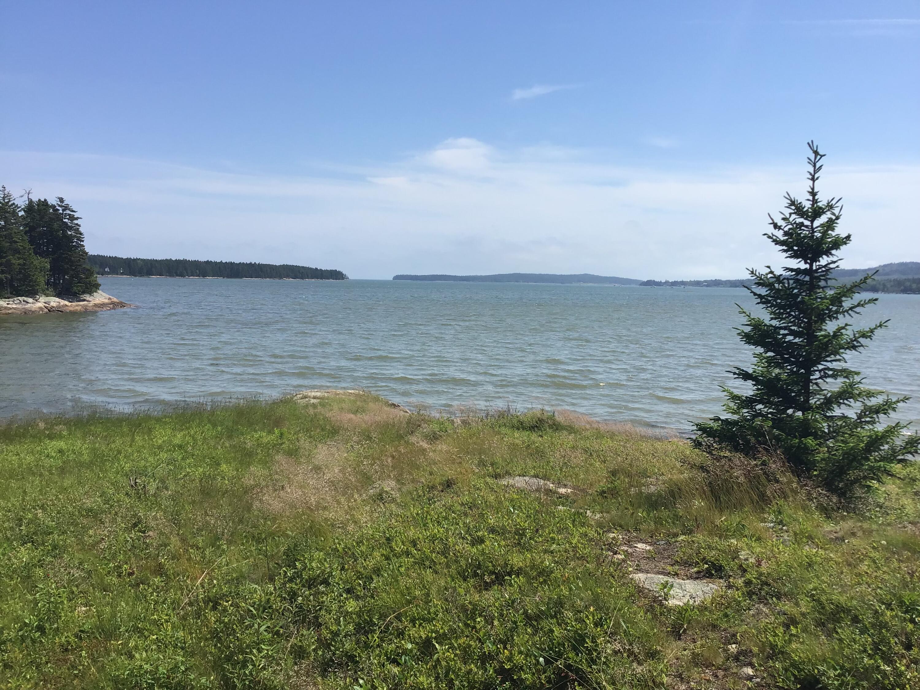 35 Bar Island Road Milbridge, ME 04658 - Photo 3 of 14 35 bar 3