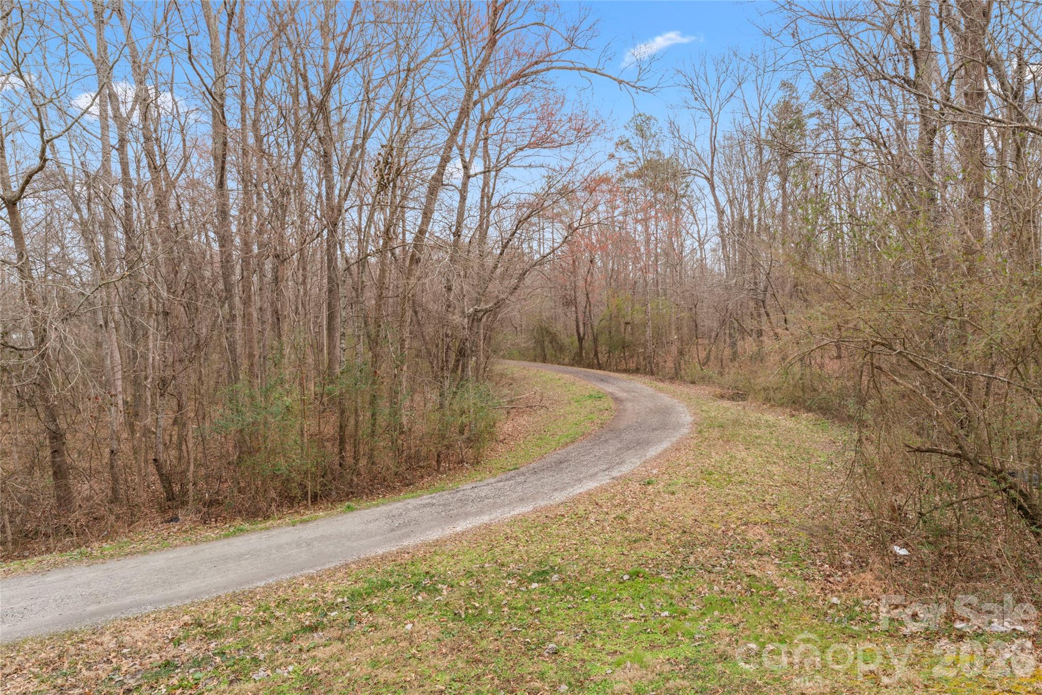 4208 Shasta Circle Clover, SC 29710 - Photo 13 of 41 a view of a yard with large trees