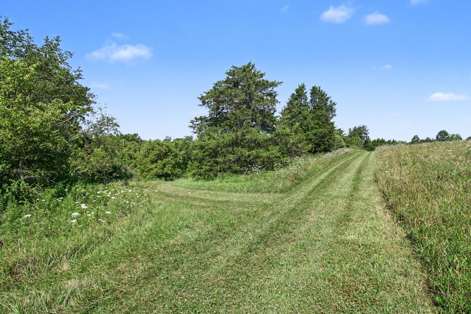 0 Bascom Corner Road Rising Sun, IN 47040 - Photo 12 of 32 Gallery Image 12