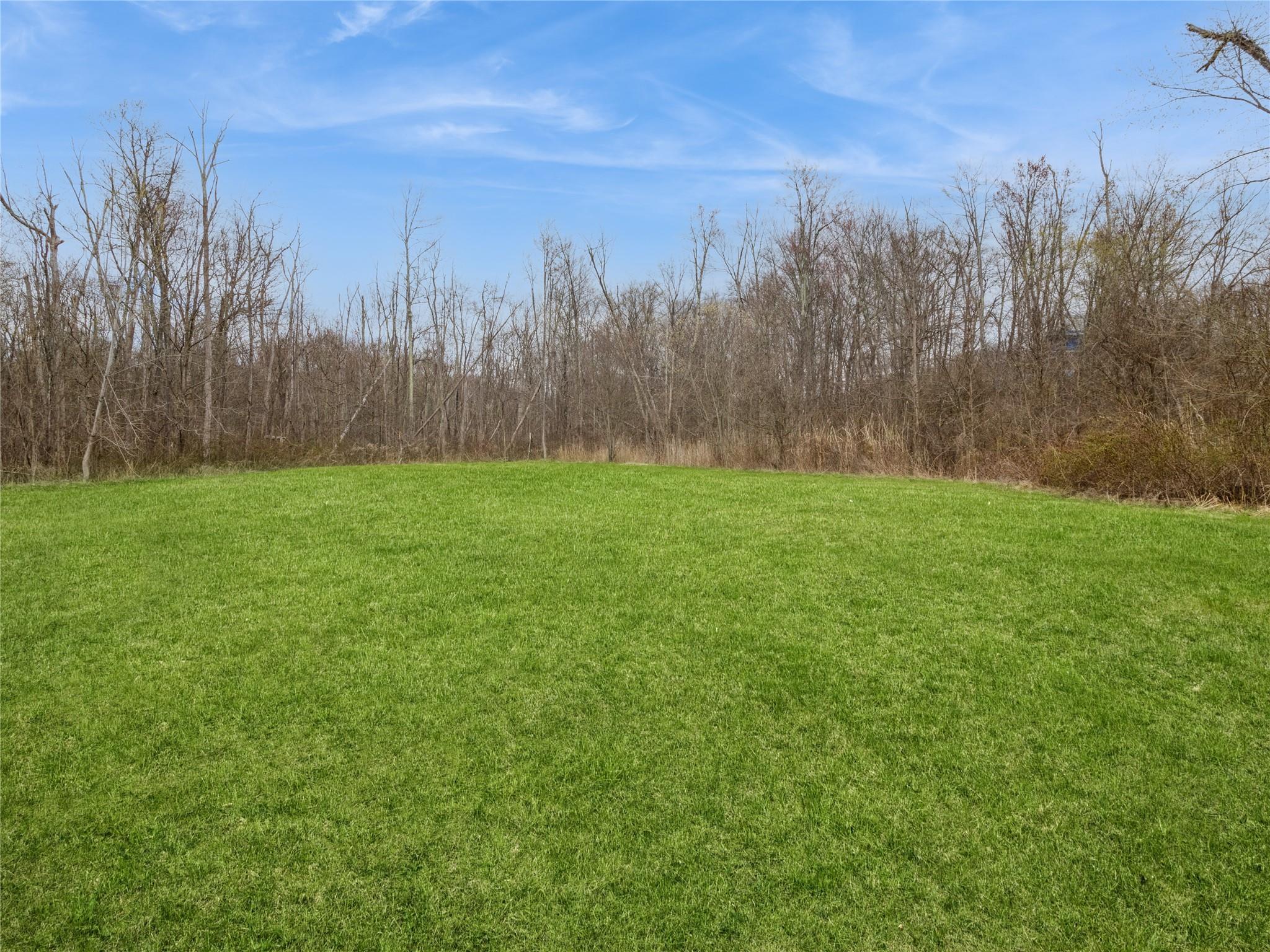 29 Dandelion Lane Wallkill, NY 12589 - Photo 46 of 50 a view of a grassy field with trees in the background