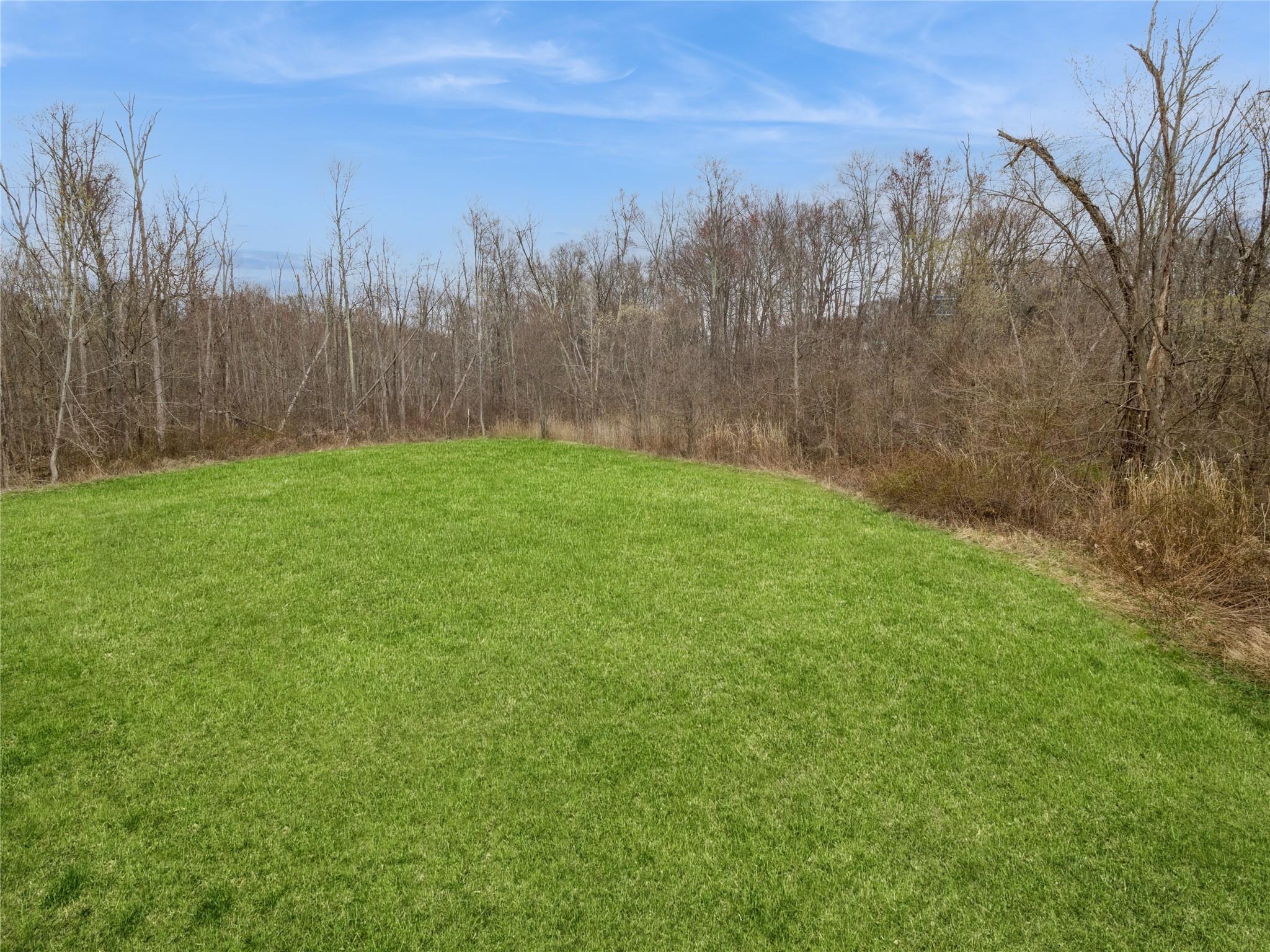 29 Dandelion Lane Wallkill, NY 12589 - Photo 47 of 50 a view of a yard with an trees