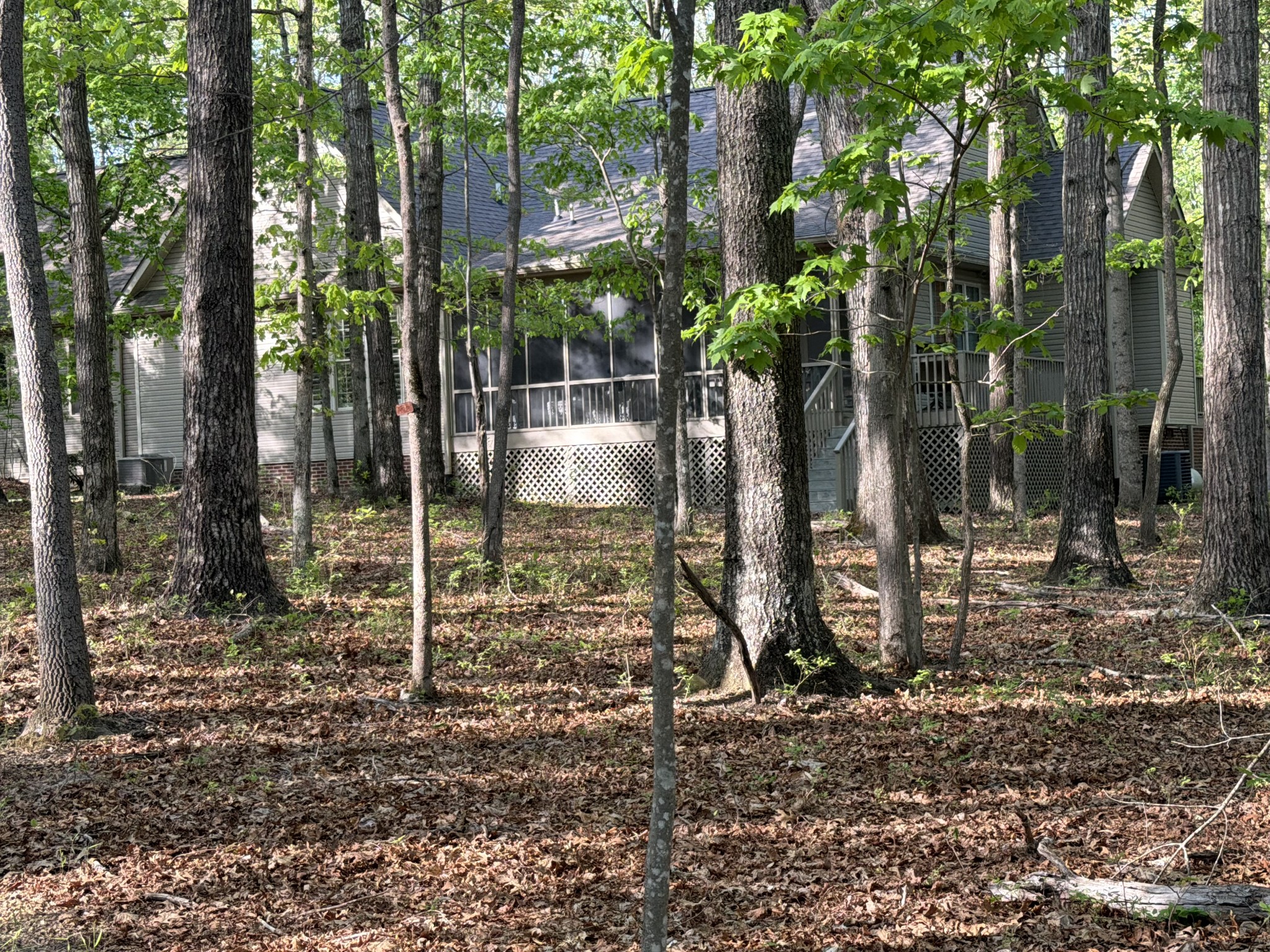 1629 Clifftops Avenue Monteagle, TN 37356 - Photo 32 of 45 a backyard of a house with lots of green space
