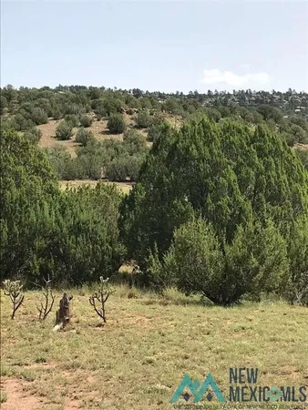 $125,000 | 27 Tracts C3 & C4, Las Vegas, NM 87701
