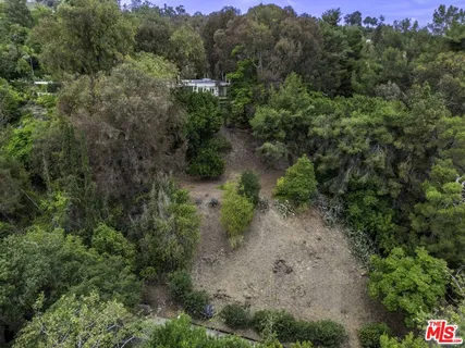 a view of a forest with a street