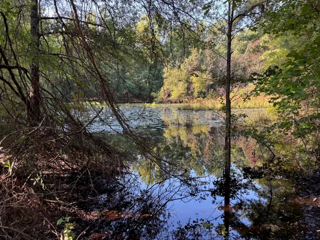 $80,000 | 1460 Whitetown Road, McCormick, SC 29835