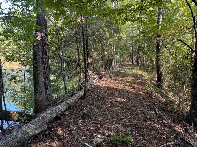 $80,000 | 1460 Whitetown Road, McCormick, SC 29835