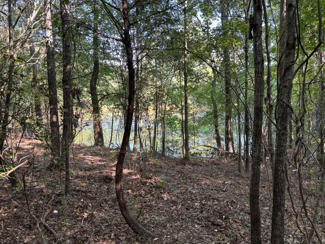 $80,000 | 1460 Whitetown Road, McCormick, SC 29835