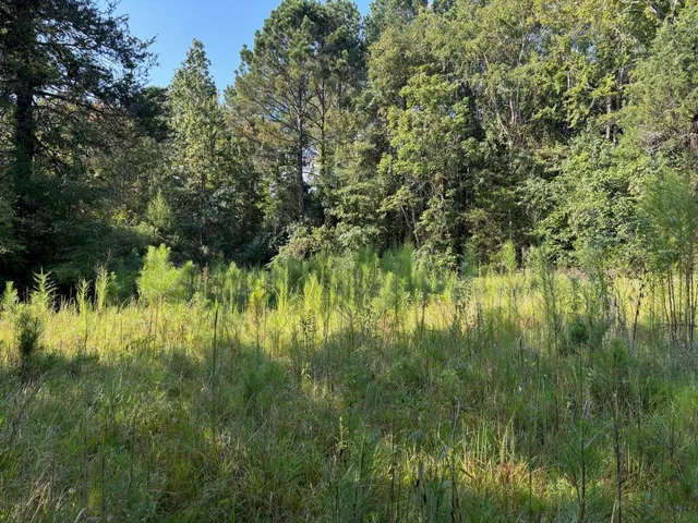 $80,000 | 1460 Whitetown Road, McCormick, SC 29835