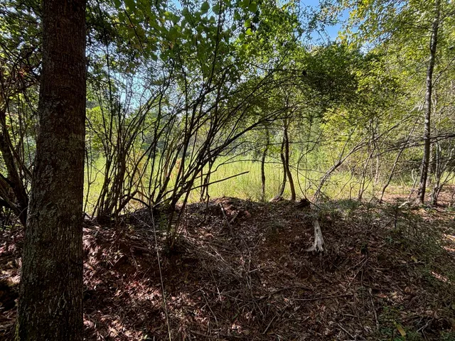 $80,000 | 1460 Whitetown Road, McCormick, SC 29835