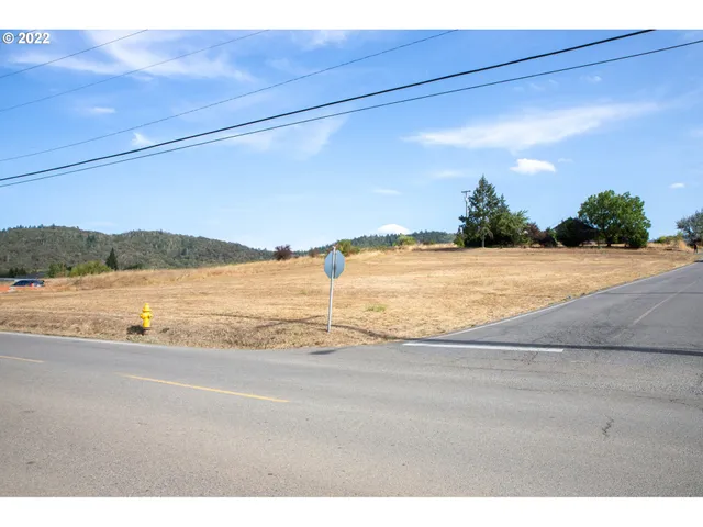 $68,795 | 0 Smith Street, Riddle, OR 97469