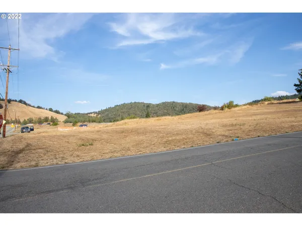 $68,795 | 0 Smith Street, Riddle, OR 97469