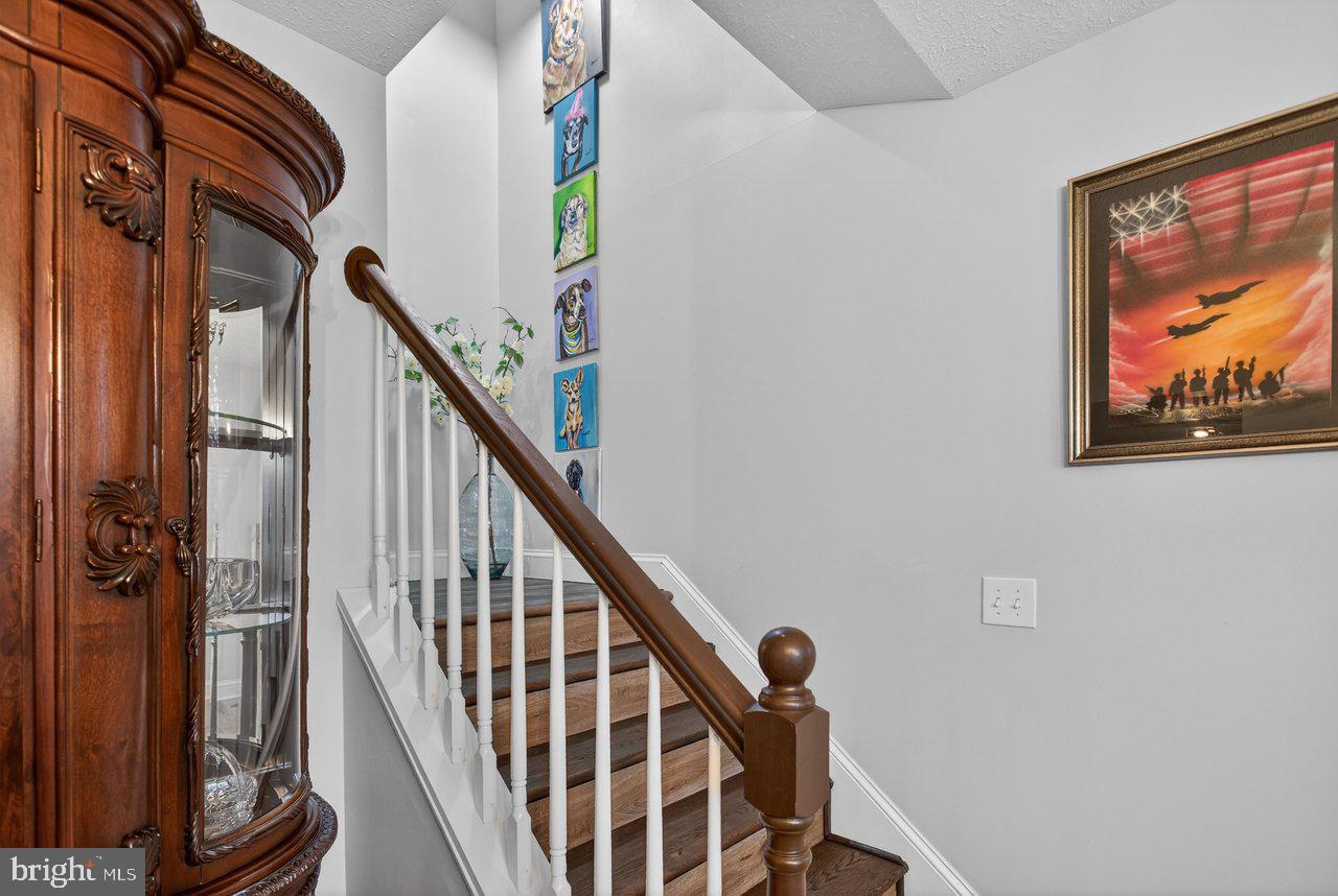 798 Turkey Knob Road Quicksburg, VA 22847 - Photo 29 of 82