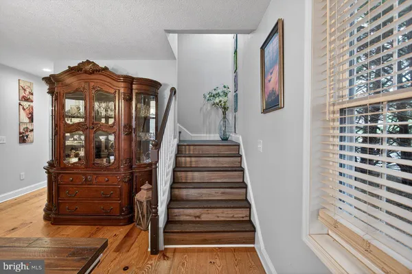 $540,000 | 798 Turkey Knob Road, Quicksburg, VA 22847