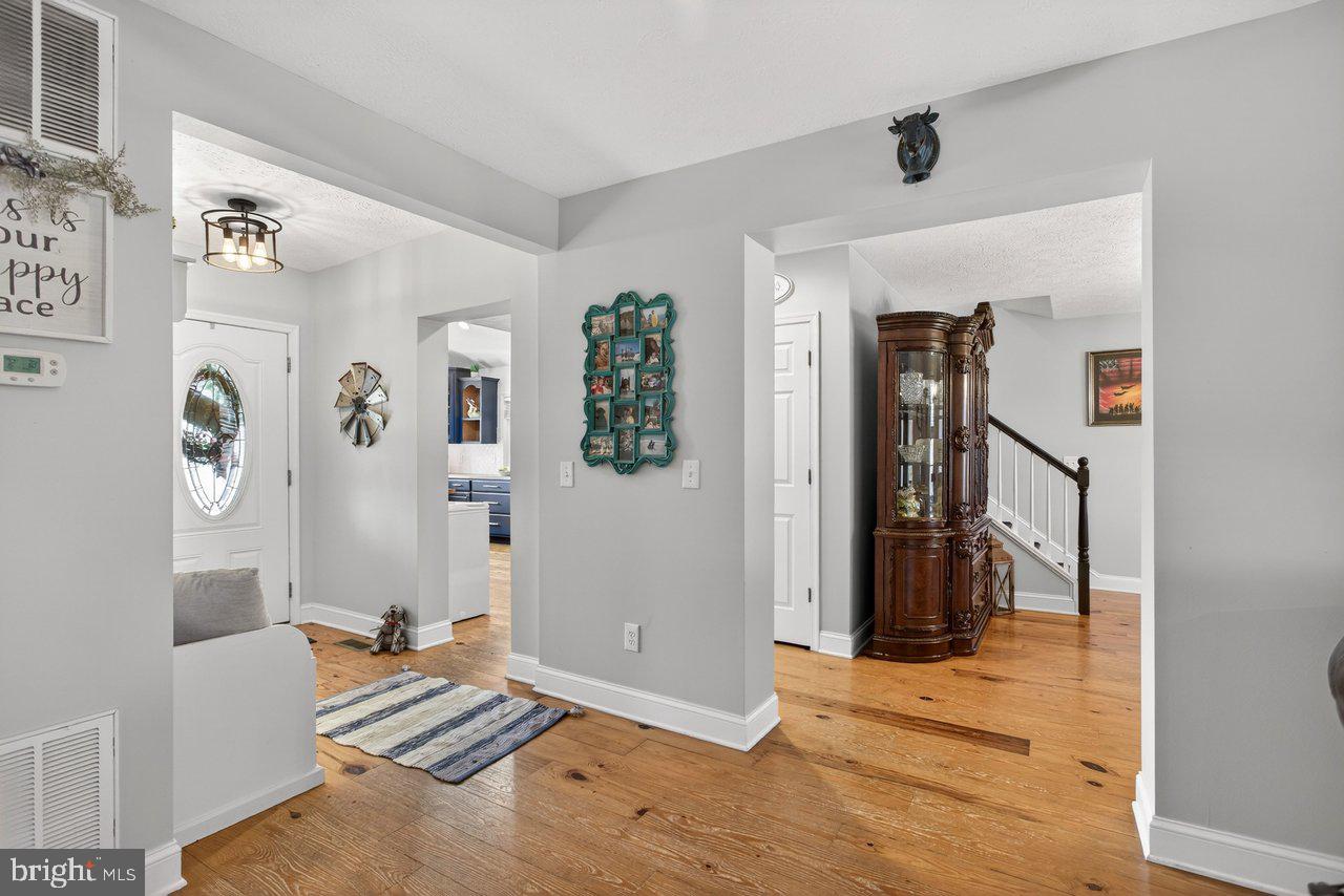 798 Turkey Knob Road Quicksburg, VA 22847 - Photo 32 of 82