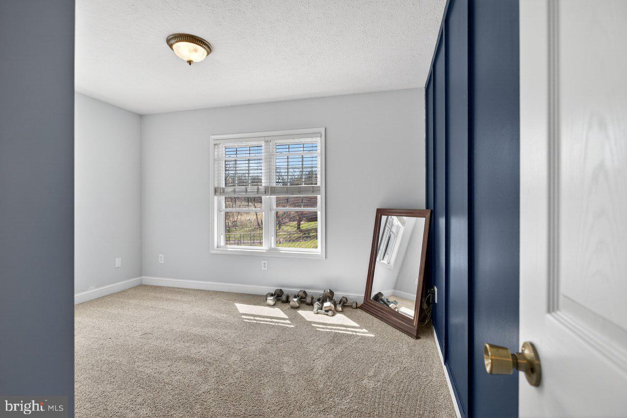 798 Turkey Knob Road Quicksburg, VA 22847 - Photo 40 of 82