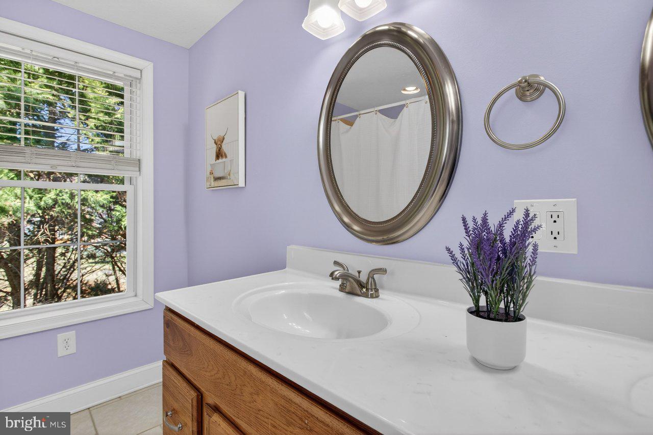 798 Turkey Knob Road Quicksburg, VA 22847 - Photo 52 of 82