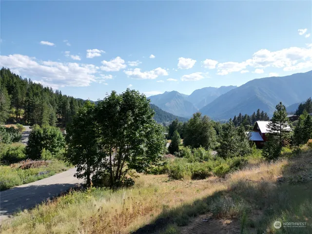 a view of a lake with a mountain in the background