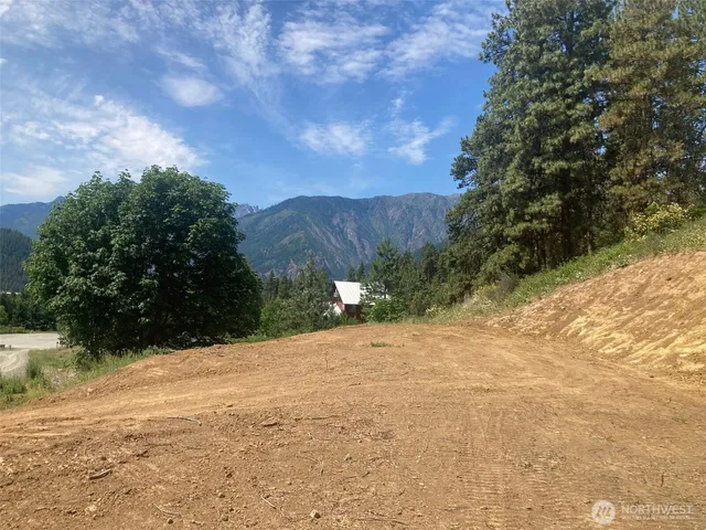 a view of a yard with trees and bushes