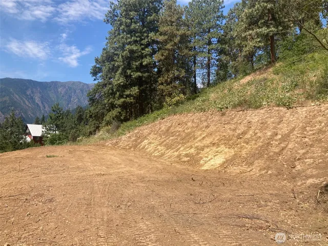 a view of a yard with a tree