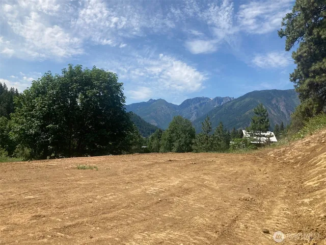a view of large trees with a big yard