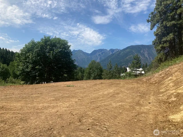a view of a yard with a tree