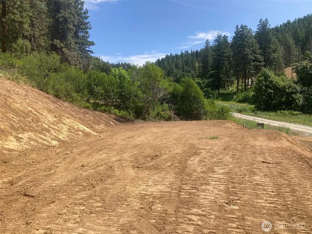 a view of a yard with a tree