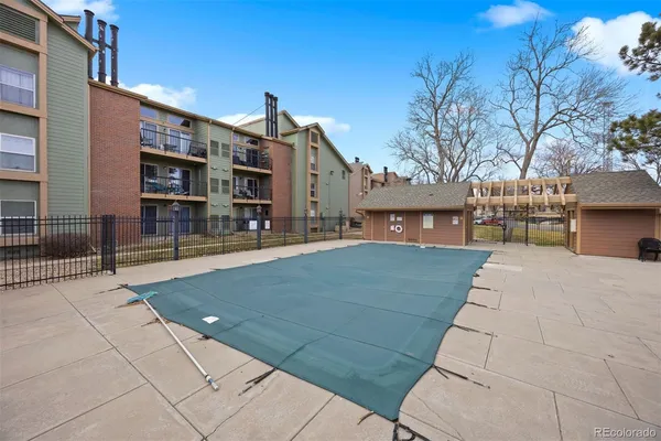 a view of a yard with trees