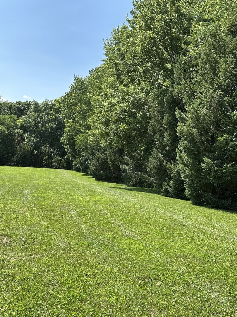 6805 Johnsburg Road Spring Grove, IL 60081 - Photo 77 of 79