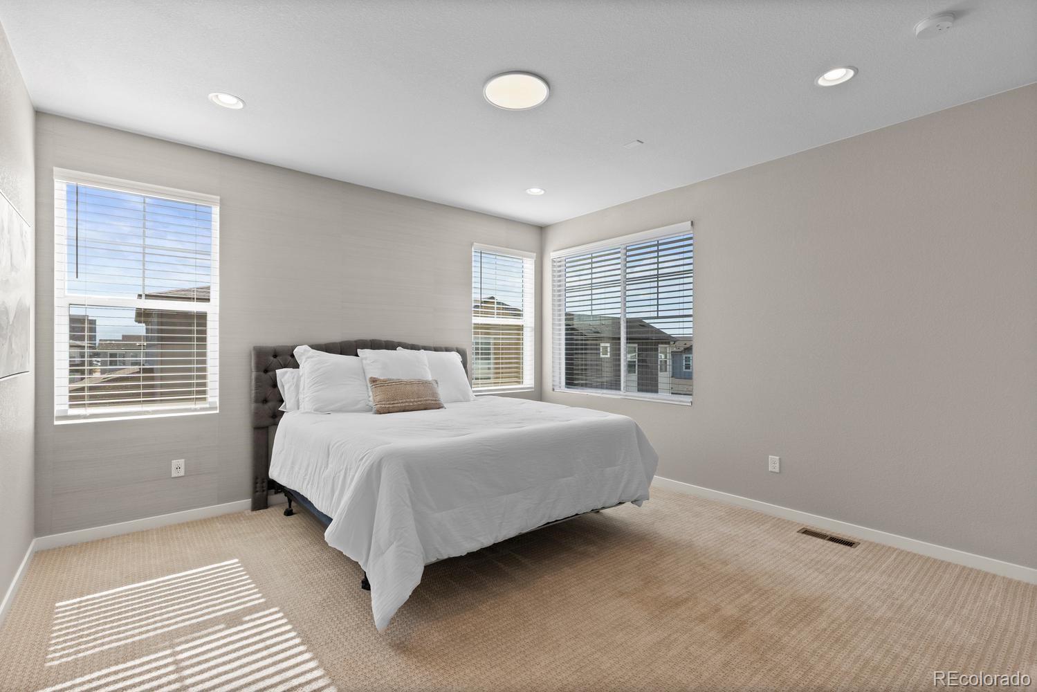 8978 Delacorte Street Highlands Ranch, CO 80129 - Photo 16 of 32