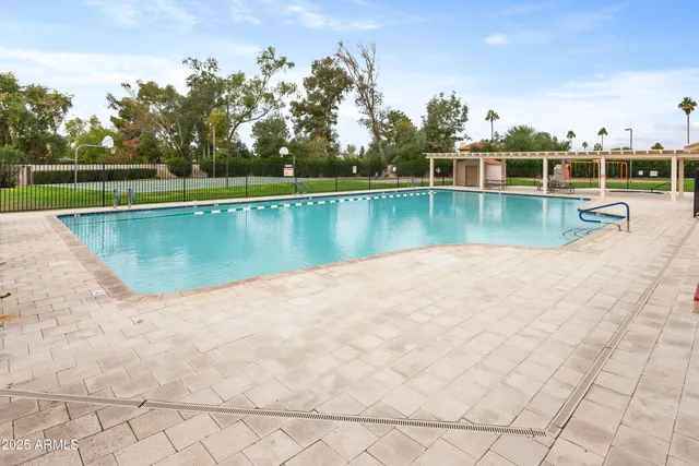 swimming view of lake and trees