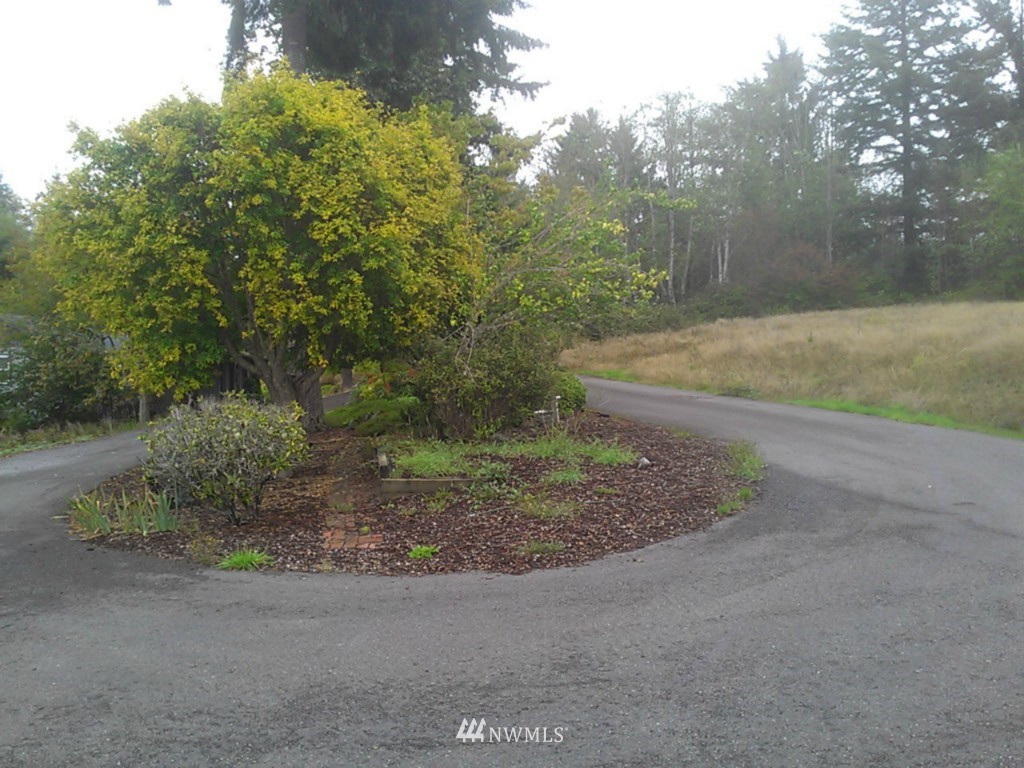 121 Widgeon Hill Road Chehalis, WA 98532 - Photo 5 of 19 Gallery Image 5
