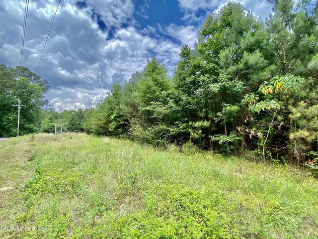 $115,125 | 2 Seventh Day Road, Florence, MS 39073