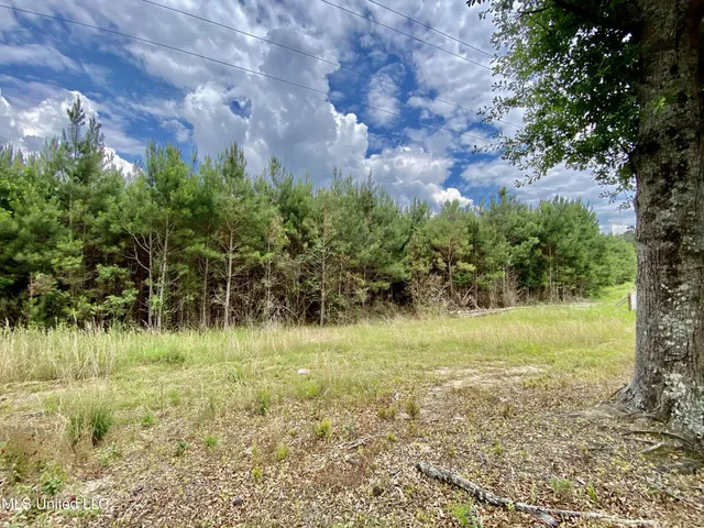 $115,125 | 2 Seventh Day Road, Florence, MS 39073