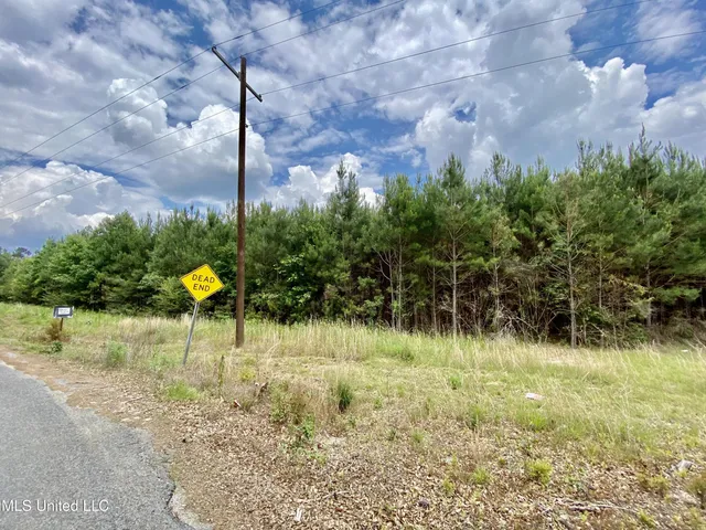 $115,125 | 2 Seventh Day Road, Florence, MS 39073