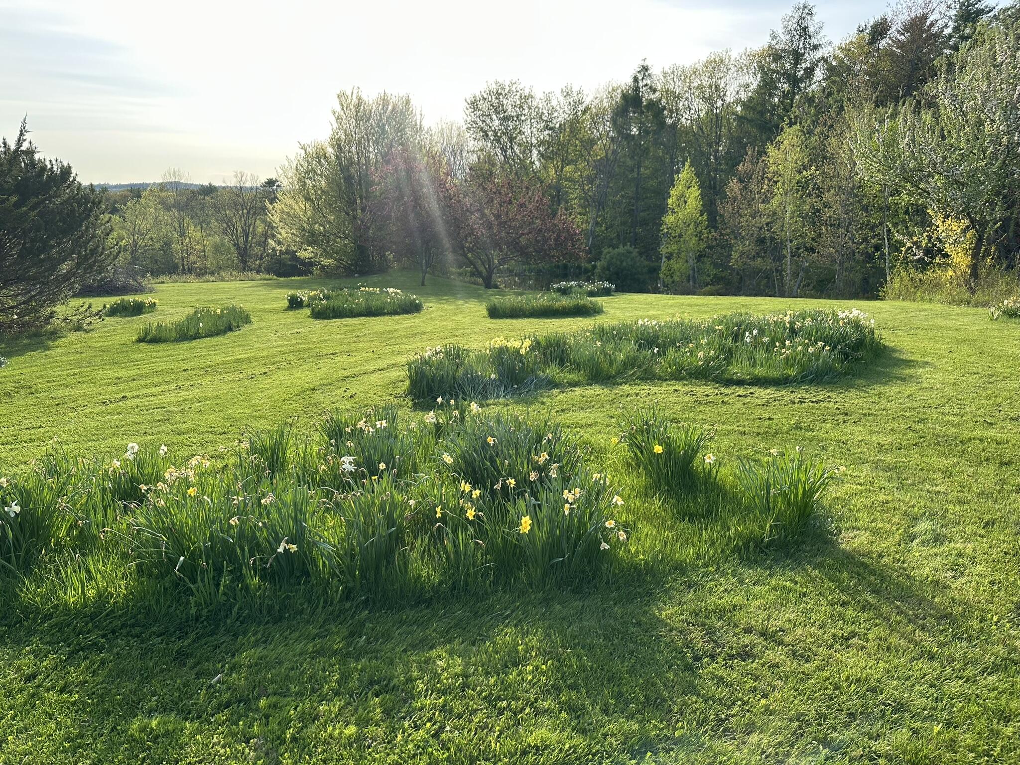 475 N Road Leeds, ME 04263 - Photo 71 of 93
