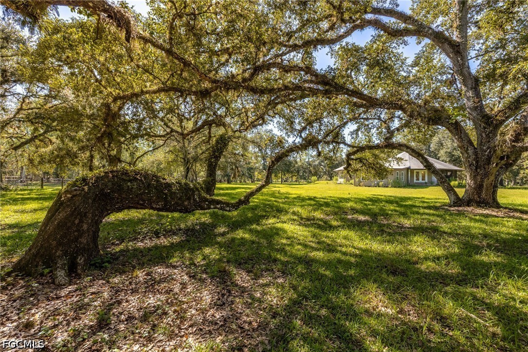 2348 9 Mile Road LaBelle, FL 33935 - Photo 35 of 50