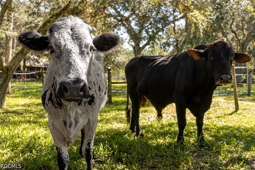 2348 9 Mile Road LaBelle, FL 33935 - Photo 43 of 50