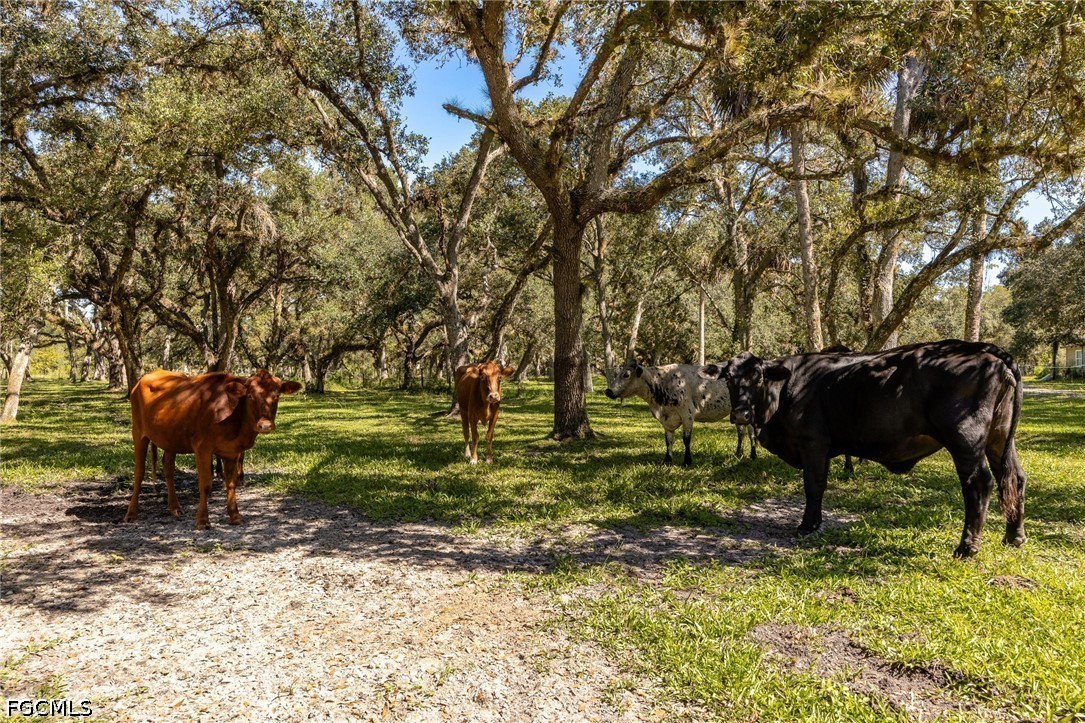 2348 9 Mile Road LaBelle, FL 33935 - Photo 44 of 50