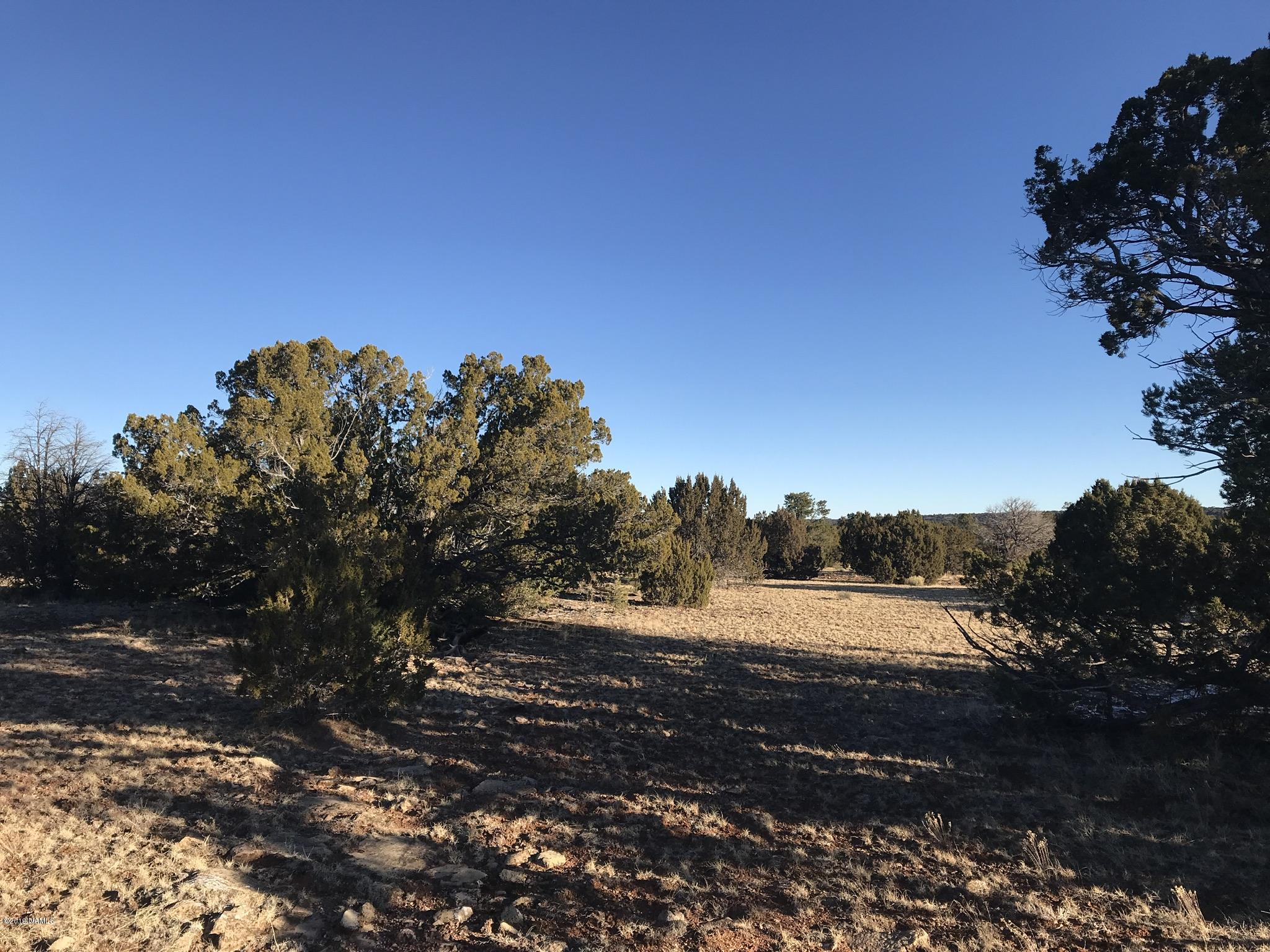 10643 South Rim Ranch Road Williams, AZ 86046 - Photo 3 of 7 AB33CD11-43F4-4B99-90AD-1EB6FF08B4C9