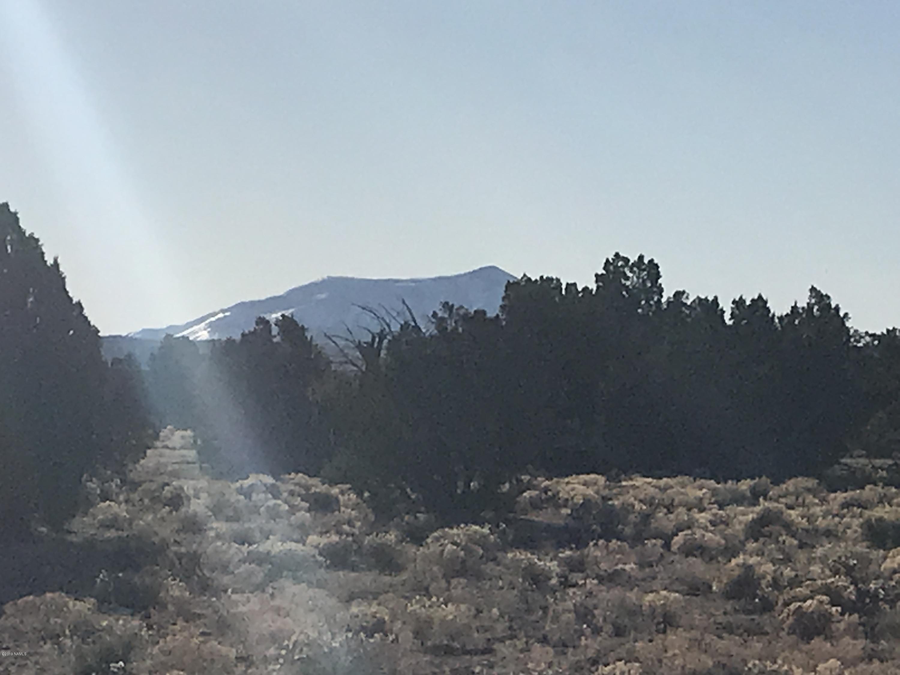10643 South Rim Ranch Road Williams, AZ 86046 - Photo 5 of 7 88B07CD8-4B75-4F5F-8B44-58724C39C9C4