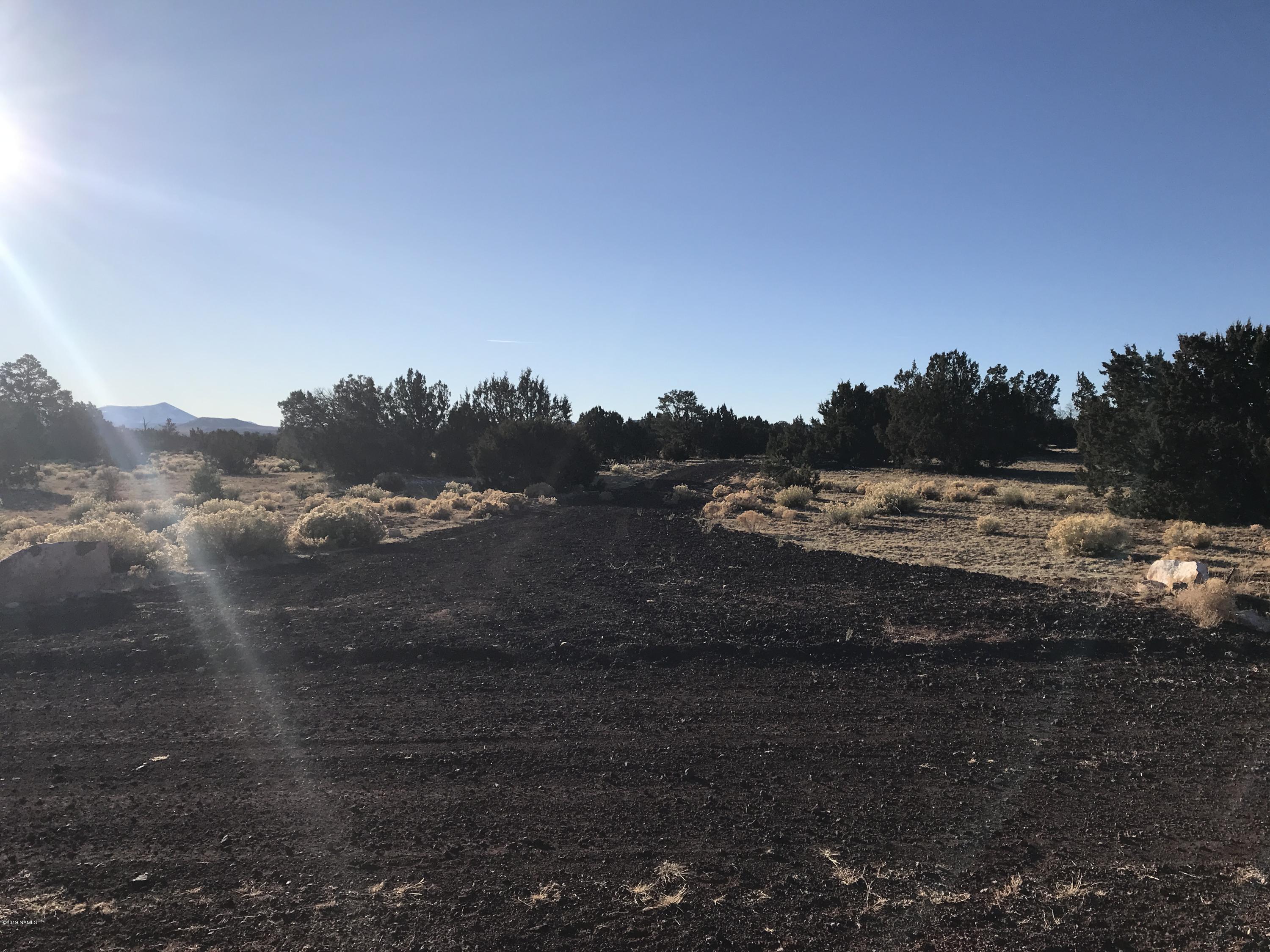 10643 South Rim Ranch Road Williams, AZ 86046 - Photo 6 of 7 00E42E5D-A400-48CC-84B0-83A094DFA45E