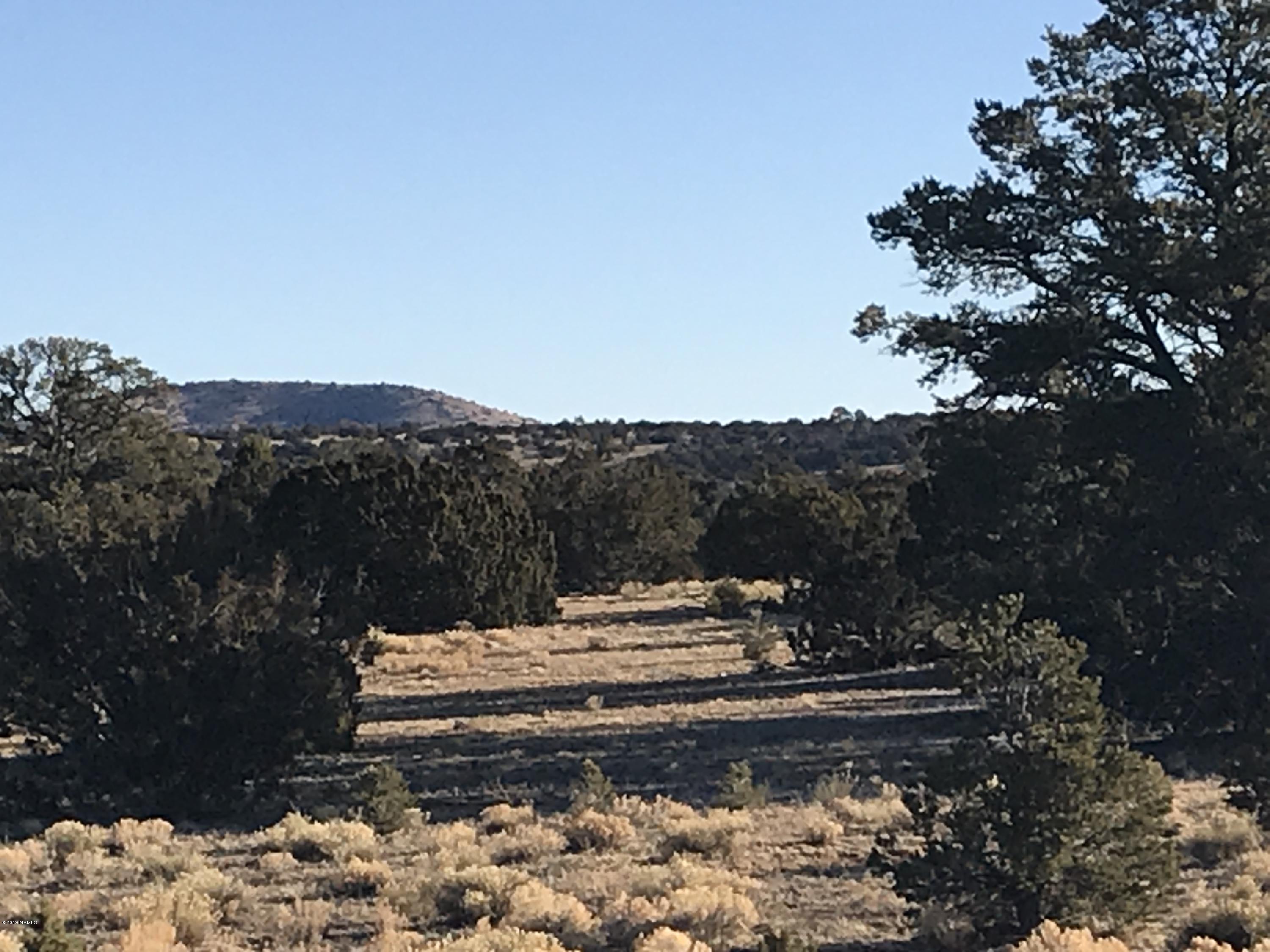 10643 South Rim Ranch Road Williams, AZ 86046 - Photo 7 of 7 9B933349-3F59-4B0F-AAB1-85C9E07E8C64