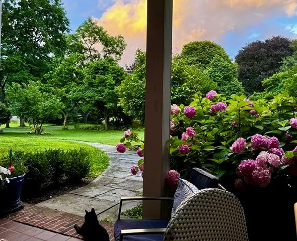 $1,100,000 | 1237 Clover Street, Brighton, NY 14610