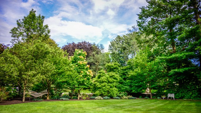 1237 Clover Street Brighton, NY 14610 - Photo 45 of 50 Open lawn offers space for soccer, croquet, bocce,