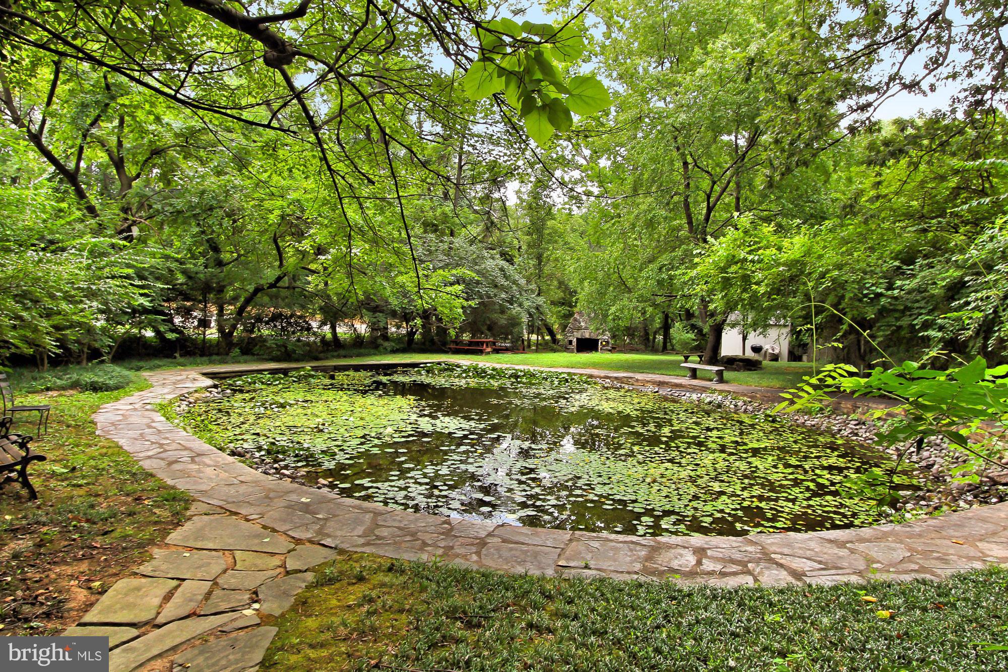 4631 4th Road North Arlington, VA 22203 - Photo 36 of 36 Community Pond