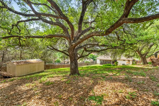 a view of a yard with plants and a tree